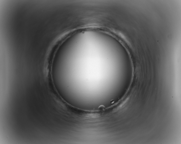 X0000088171406200705291922