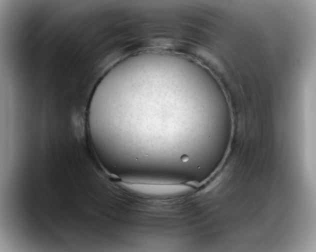 X0000088171409200705291922