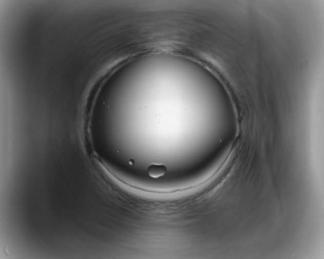 X0000088171410200705291922