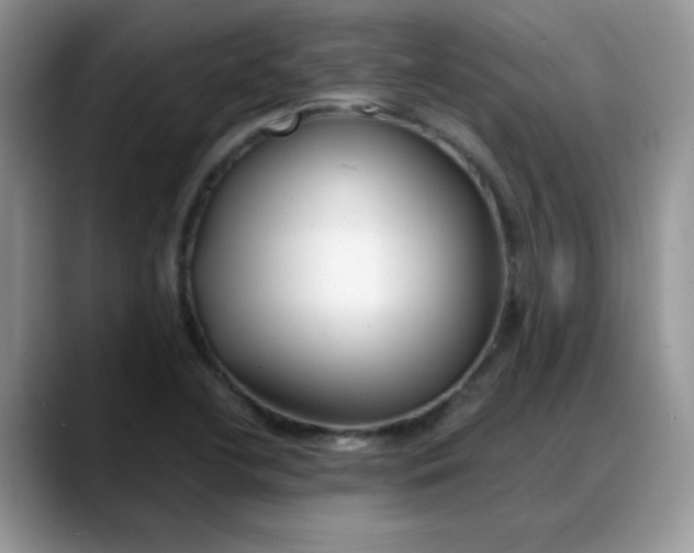 X0000088171412200705291922