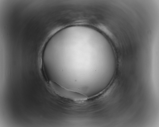 X0000088171413200705291922