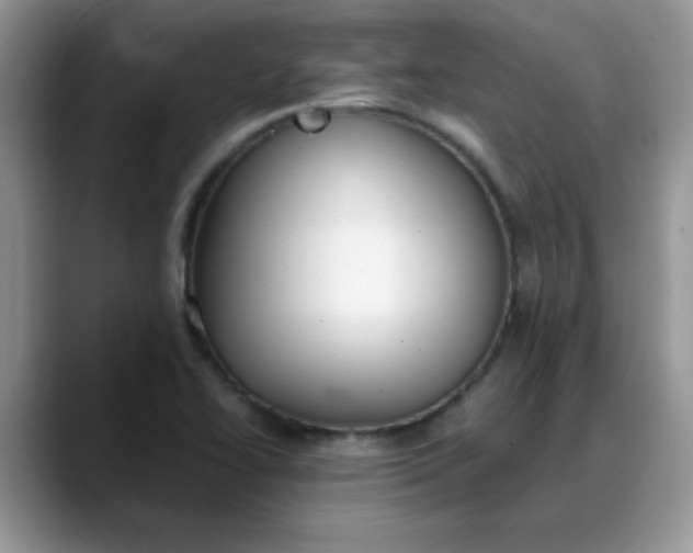 X0000088171414200705291922