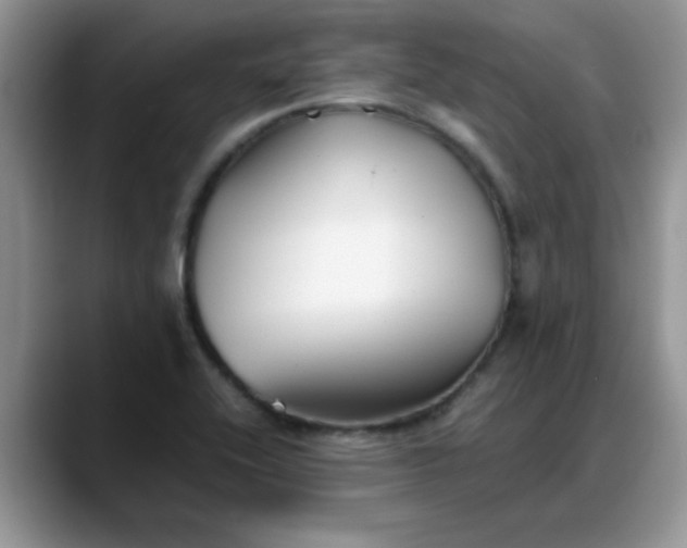 X0000088171416200705291922