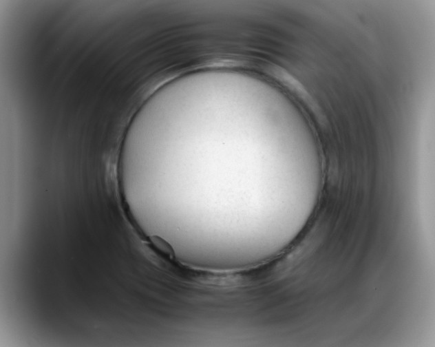 X0000088171417200705291922