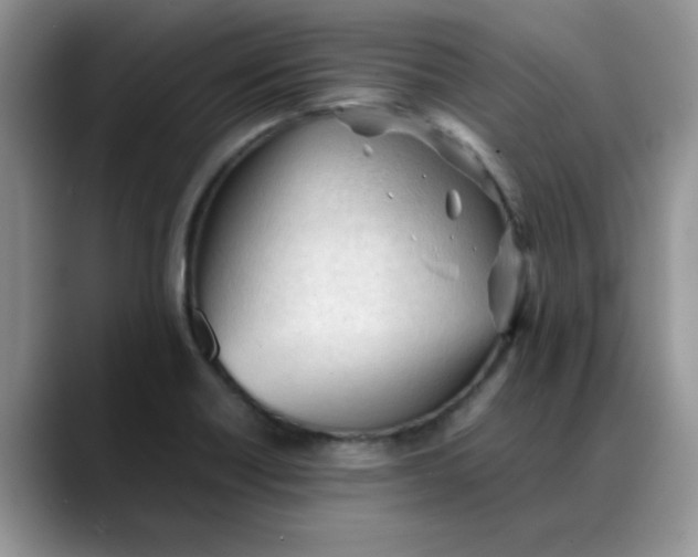 X0000088171418200705291922