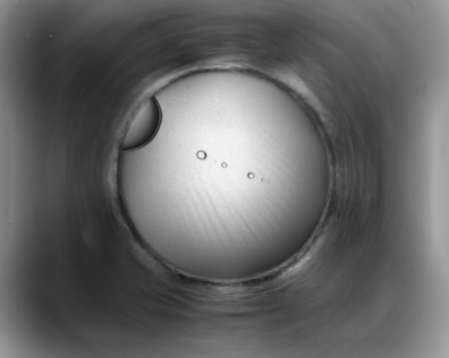 X0000088171421200705291922