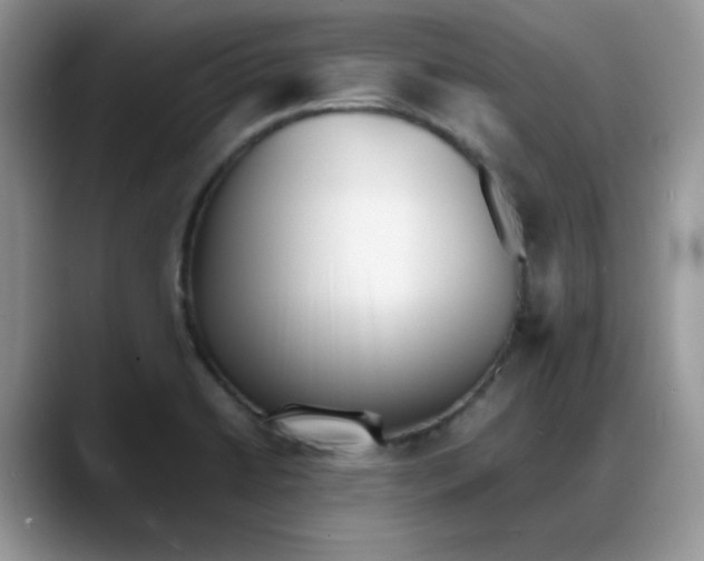 X0000088171422200705291923