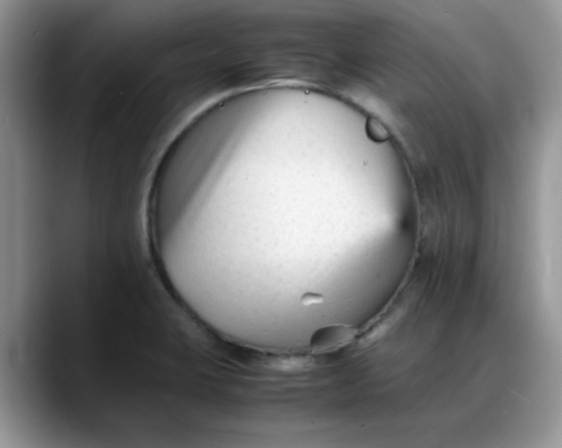 X0000088171423200705291923