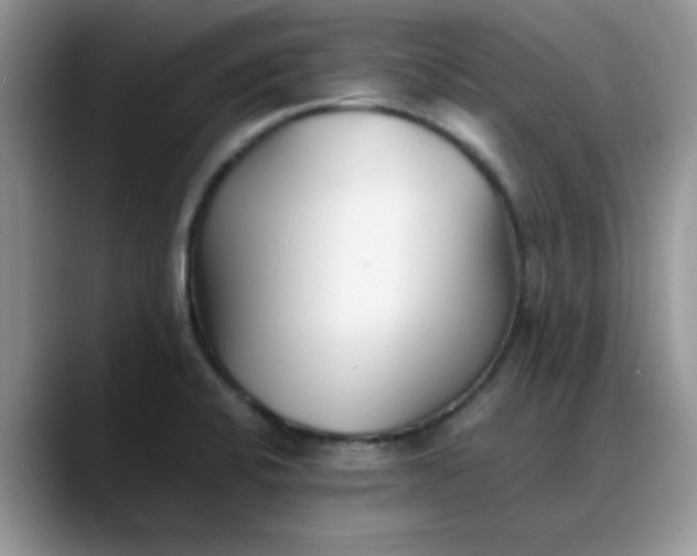 X0000088171424200705291923