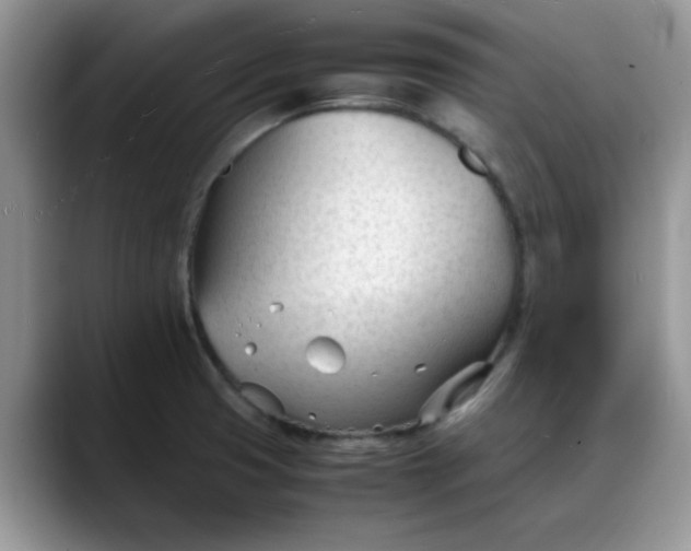 X0000088171425200705291923