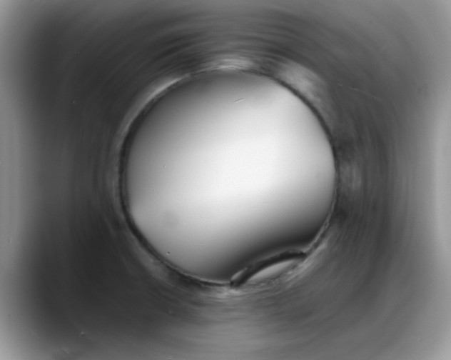 X0000088171426200705291923