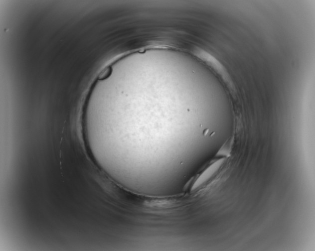 X0000088171427200705291923