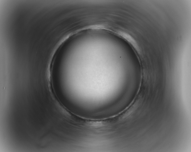 X0000088171428200705291923