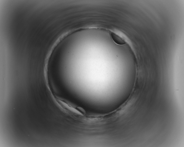 X0000088171429200705291923