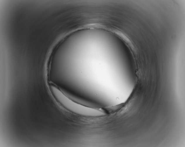 X0000088171430200705291923