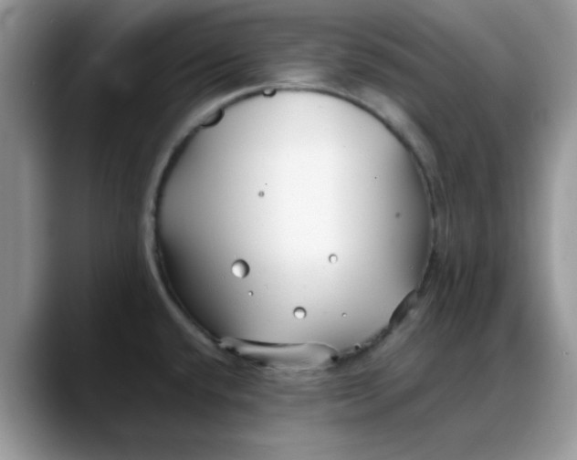 X0000088171432200705291923