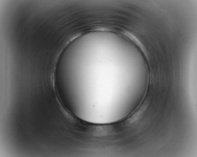 X0000088171433200705291923