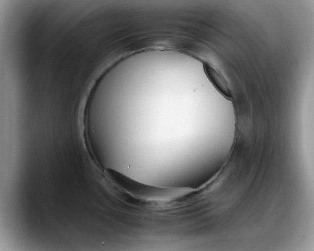 X0000088171435200705291923