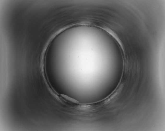 X0000088171437200705291923