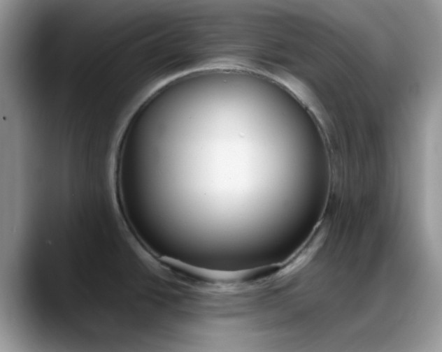 X0000088171438200705291923