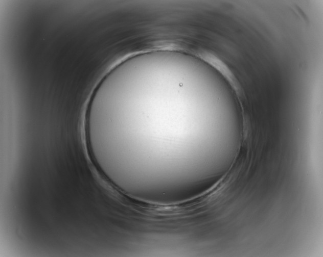 X0000088171439200705291923