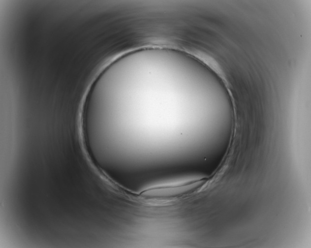 X0000088171440200705291923