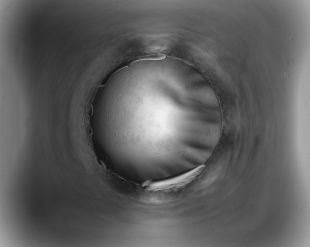 X0000088171441200705291922