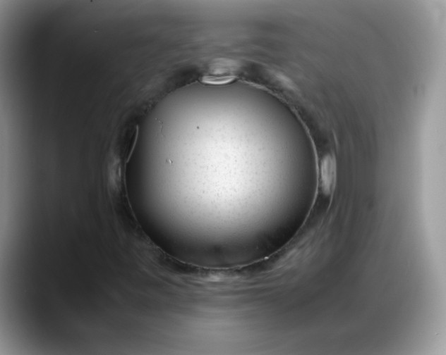 X0000088171443200705291922