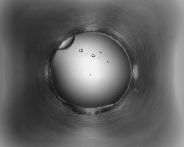 X0000088171444200705291922