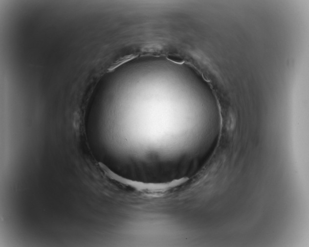 X0000088171445200705291922