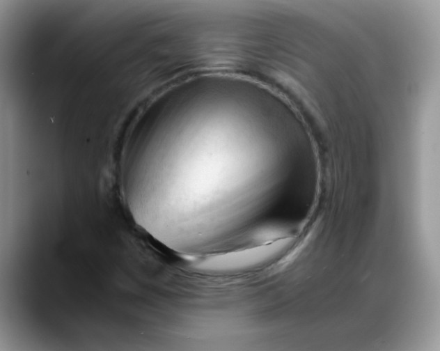 X0000088171449200705291922