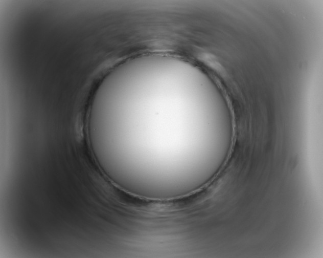 X0000088171451200705291922