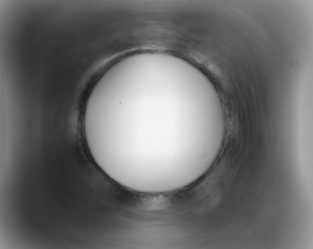 X0000088171454200705291922