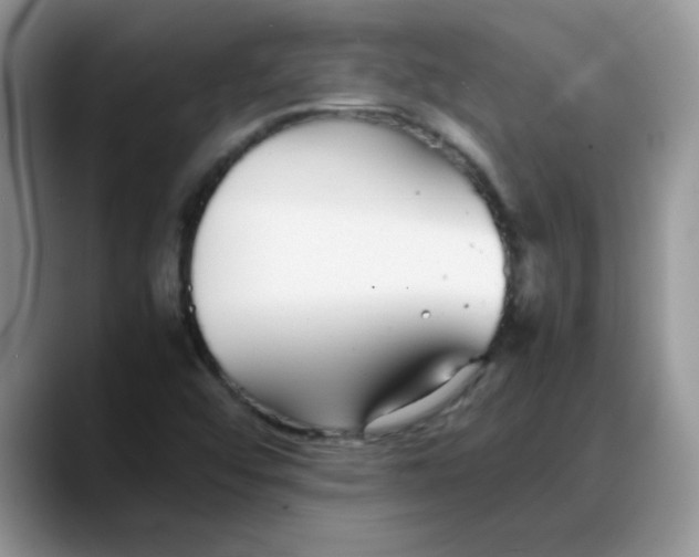 X0000088171456200705291922