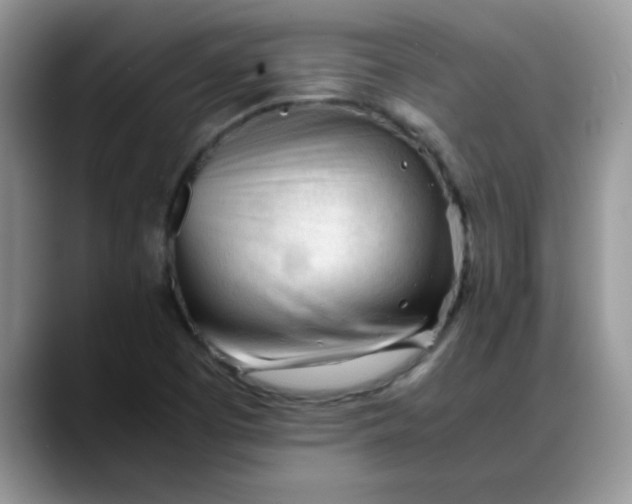 X0000088171457200705291922