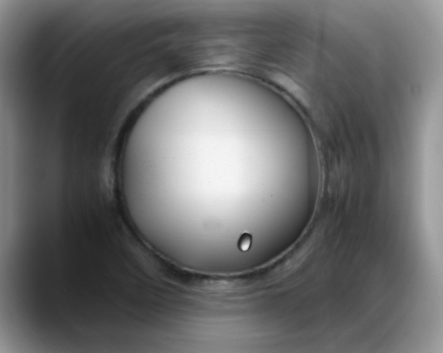 X0000088171458200705291922