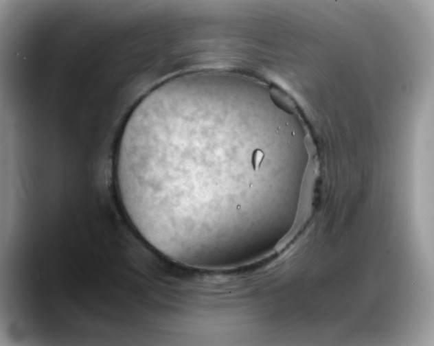 X0000088171459200705291922