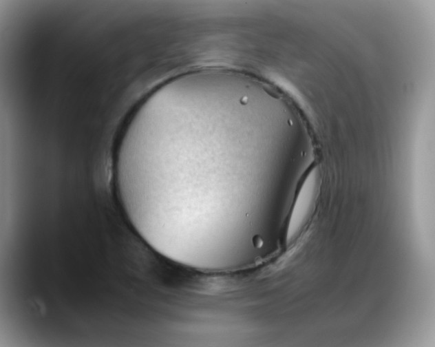 X0000088171461200705291922