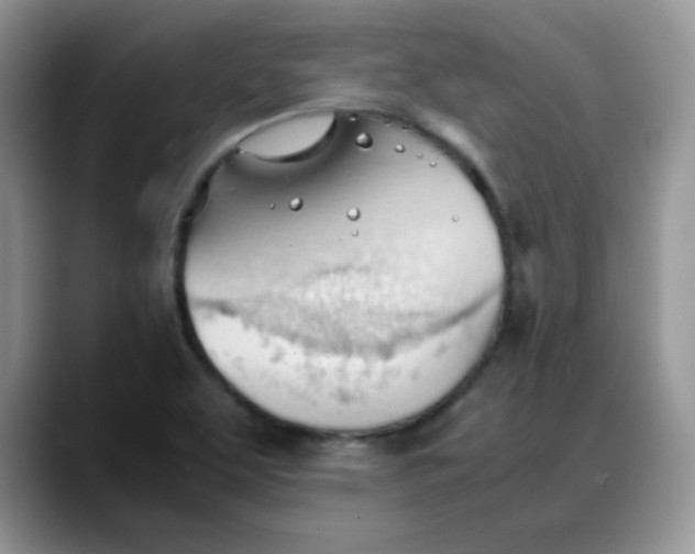 X0000088171463200705291922