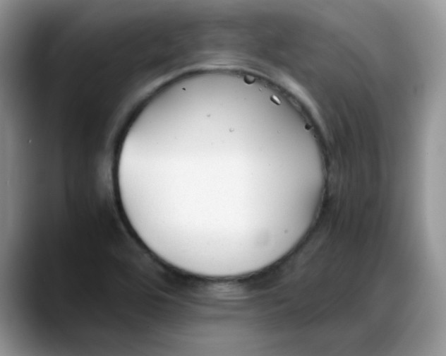 X0000088171464200705291922