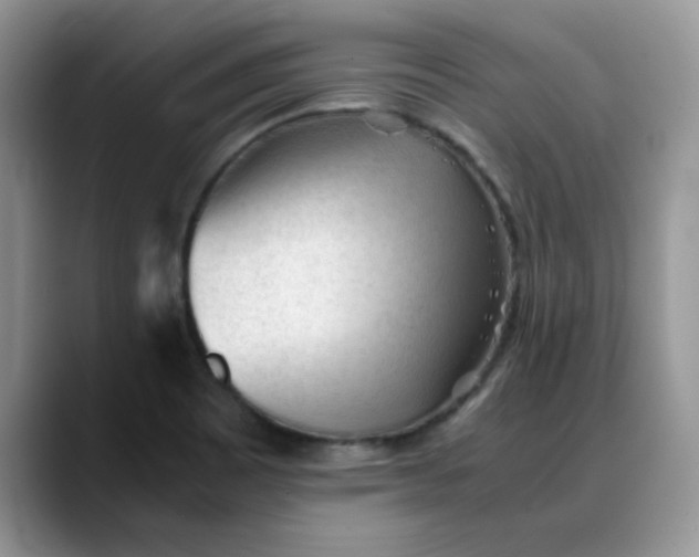 X0000088171465200705291922