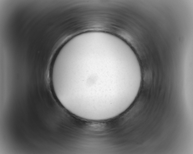 X0000088171466200705291922