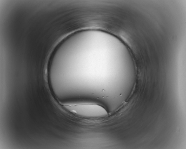 X0000088171468200705291922