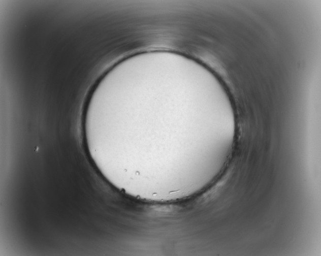 X0000088171469200705291922