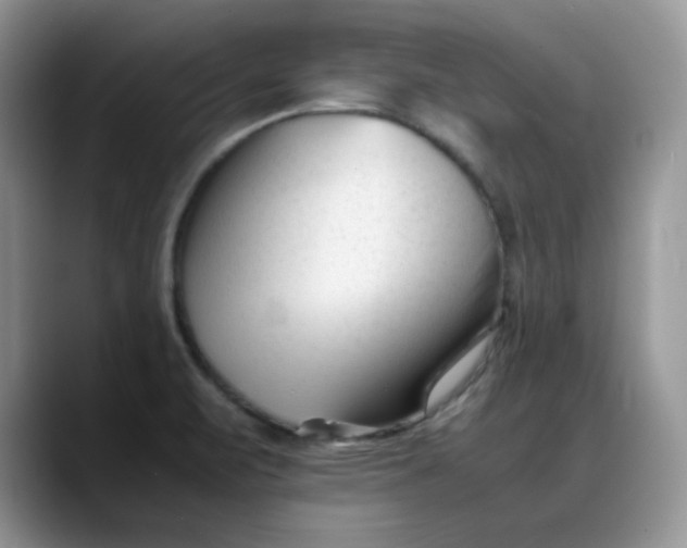 X0000088171471200705291922