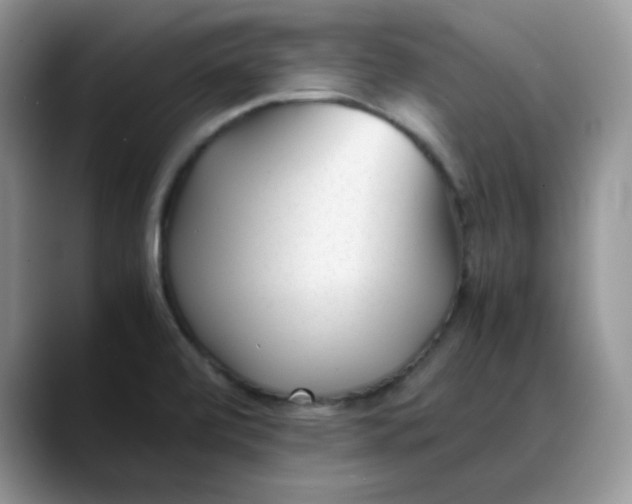 X0000088171472200705291922