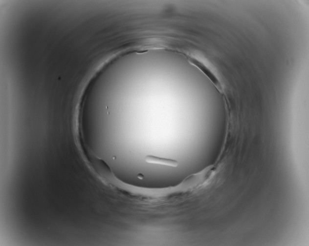 X0000088171477200705291922