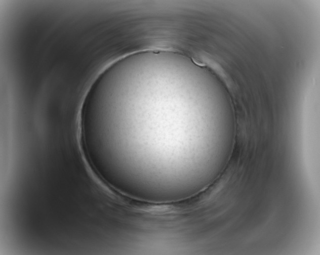 X0000088171479200705291922