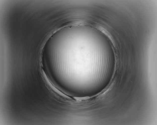 X0000088171481200705291922