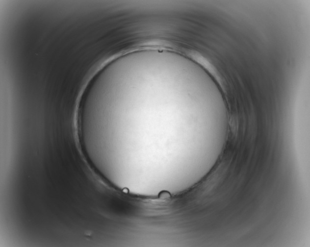 X0000088171482200705291922